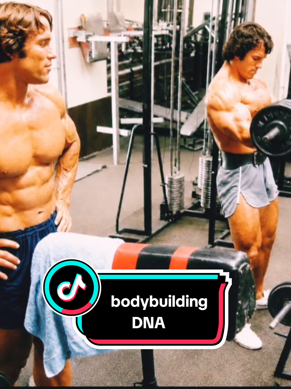 @bodybuildingDNA