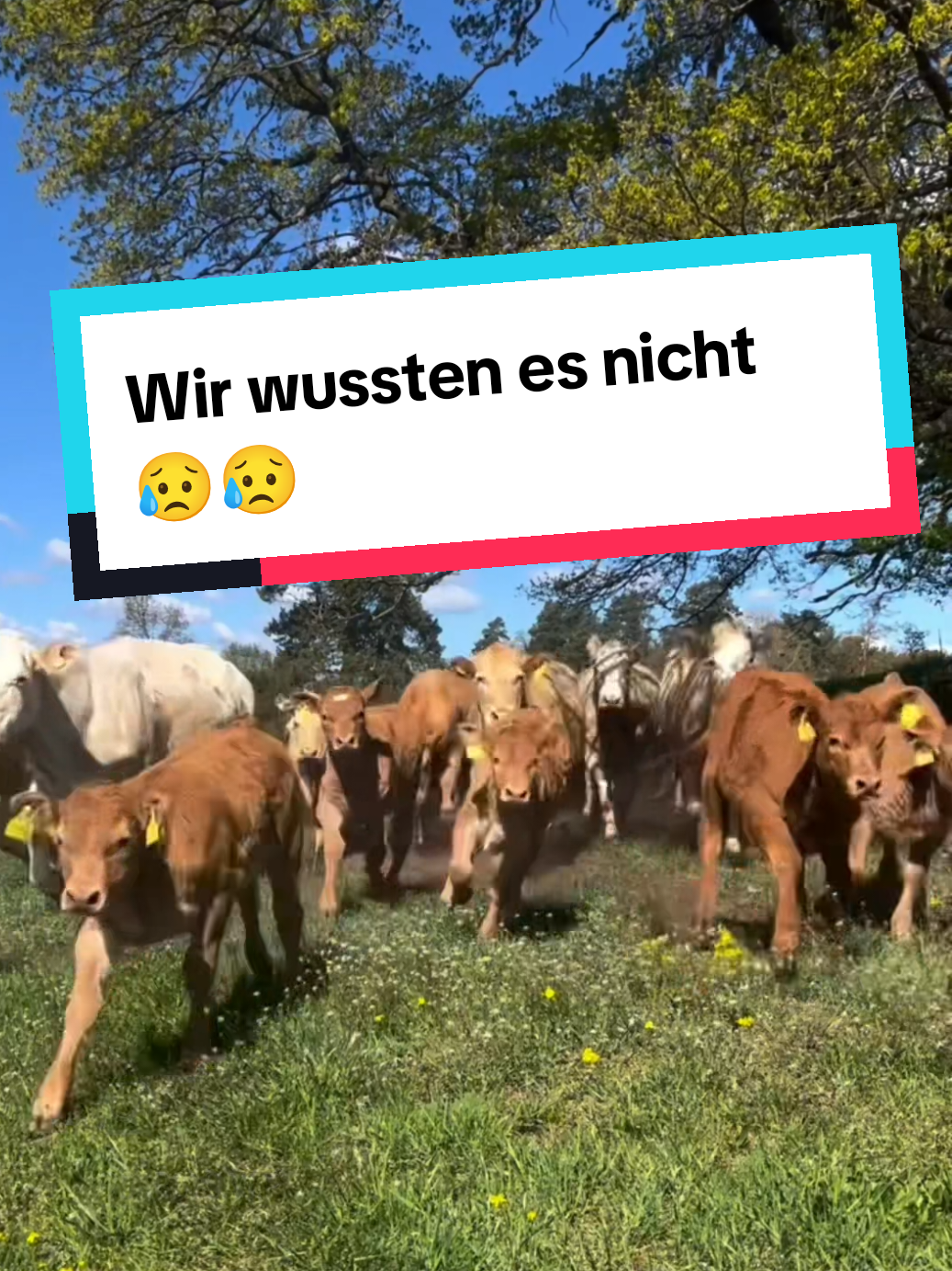 @DieSelbstvOrsorger