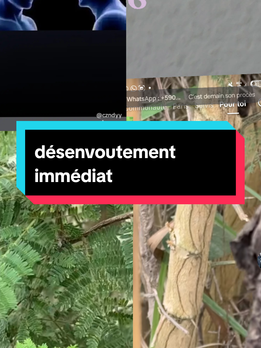 @Paaoloo Thierryo