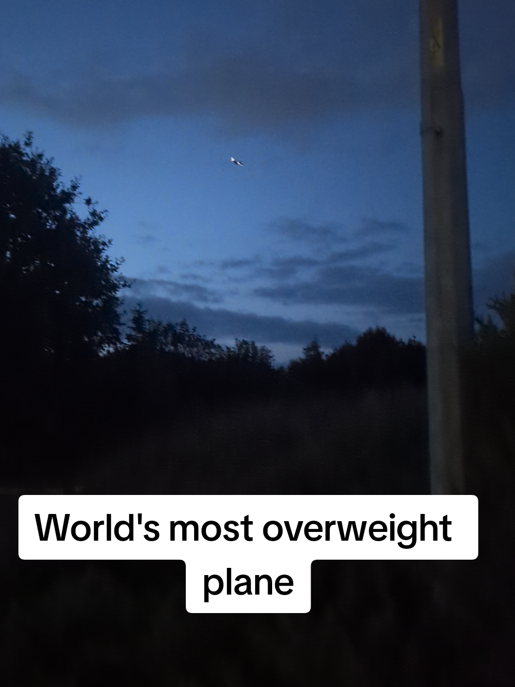 @Star of Midnight