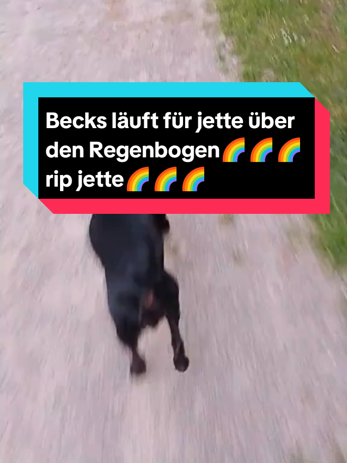 @Niklas Hack