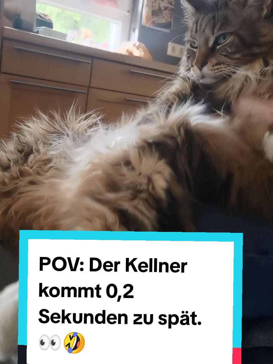 @animalslover