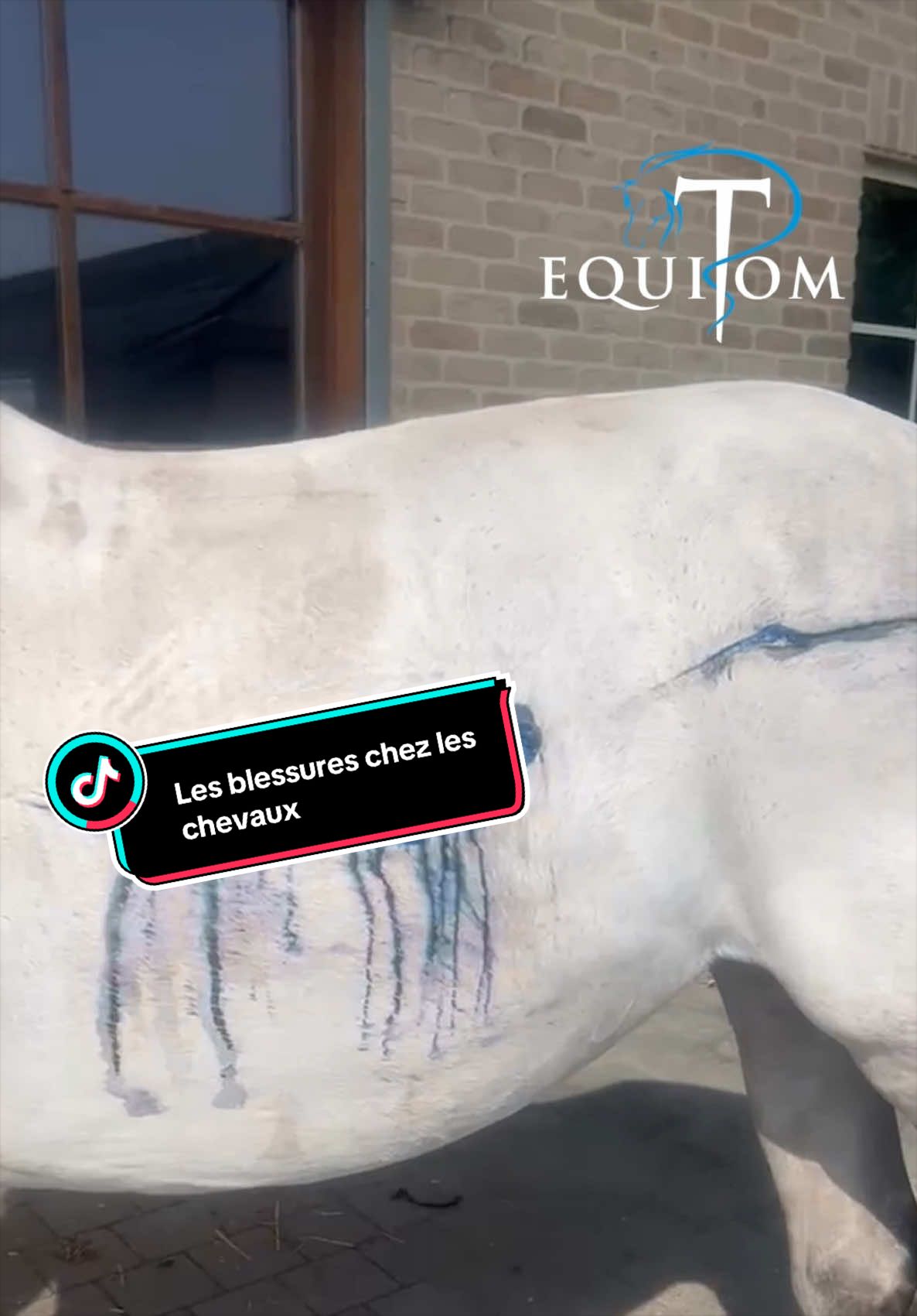 @Equitom