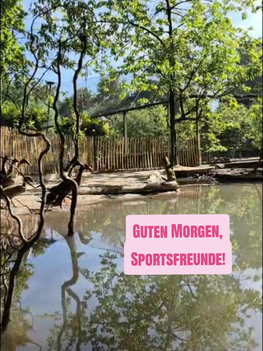 @WildparkLH