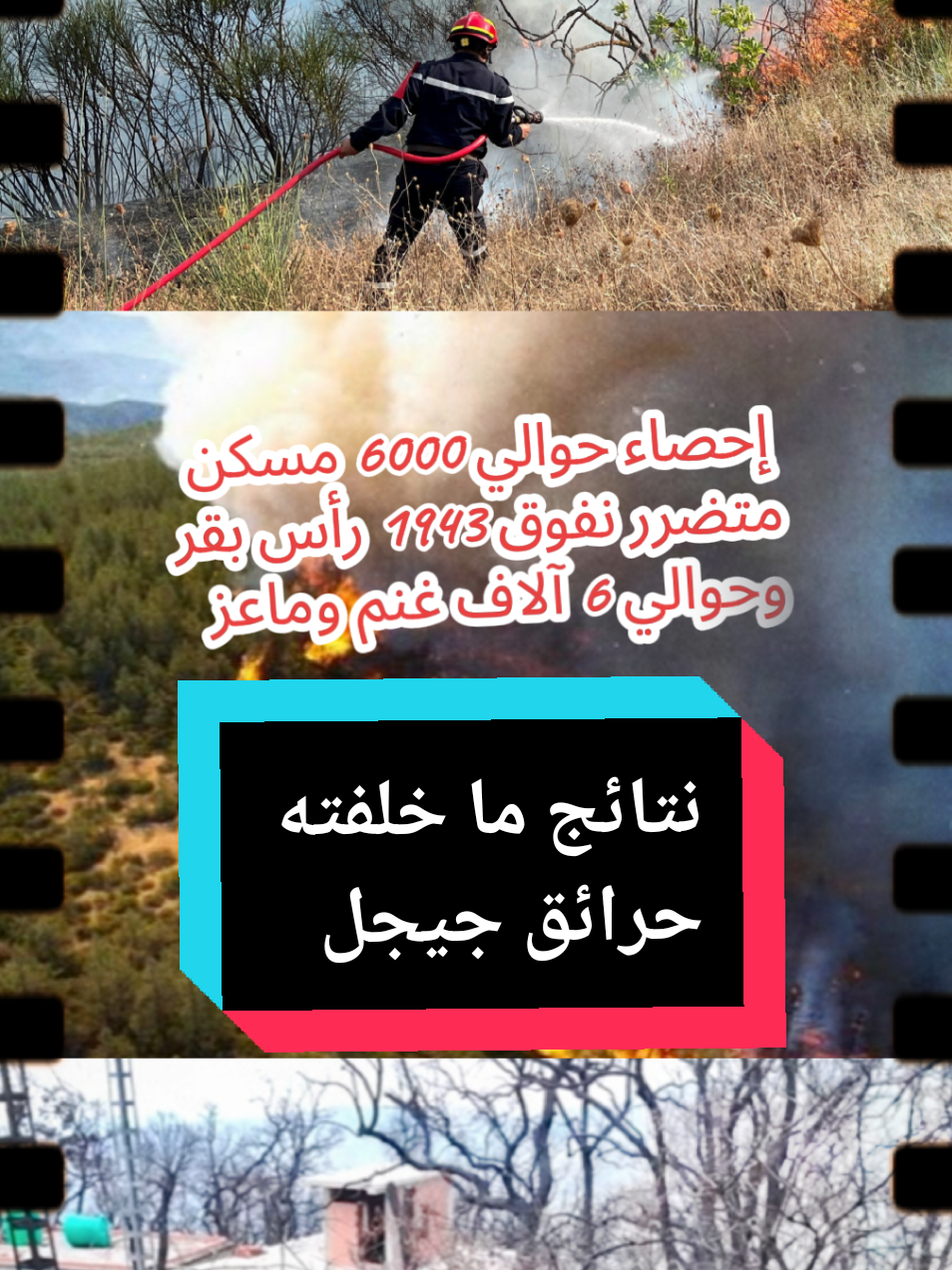 @في الجزائر