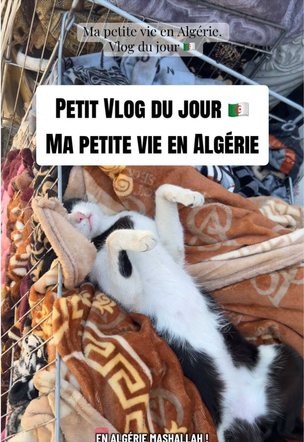@M A R I E 🌹🇩🇿✨