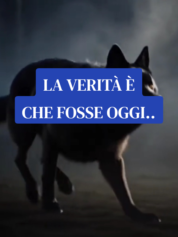 @ALESSANDRO_IL_ROMANO