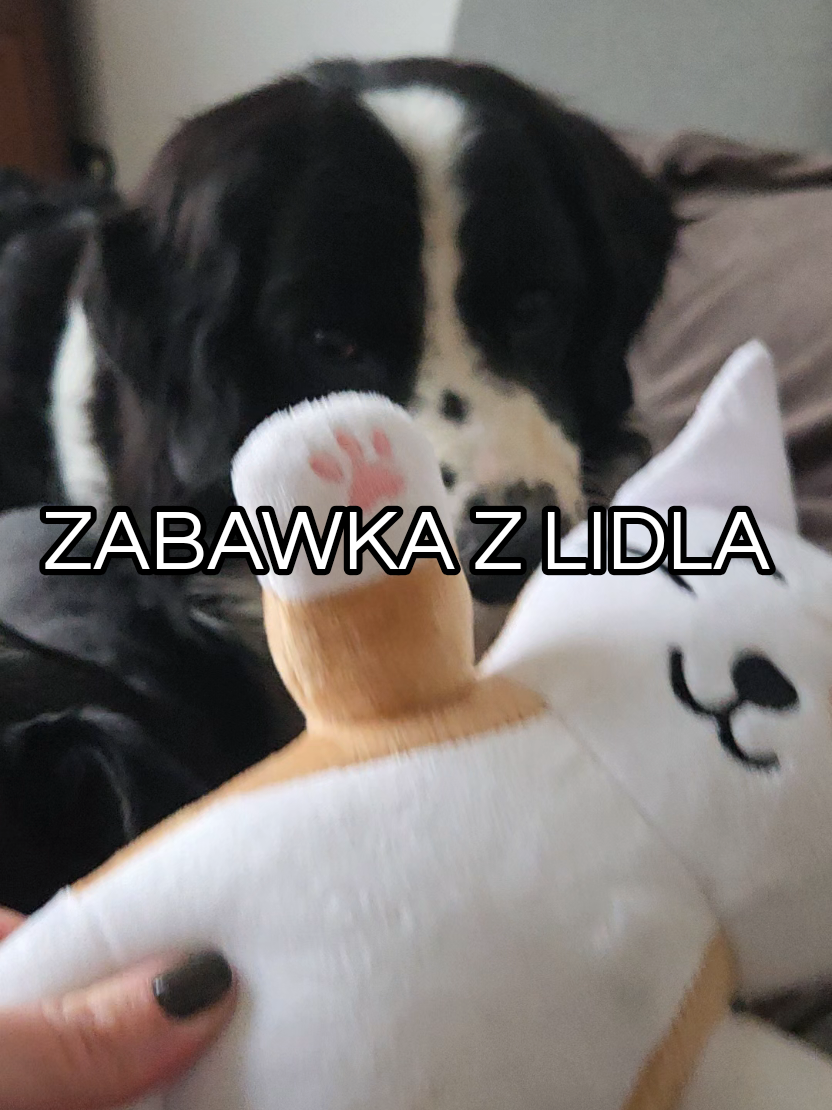 @thecaarlille