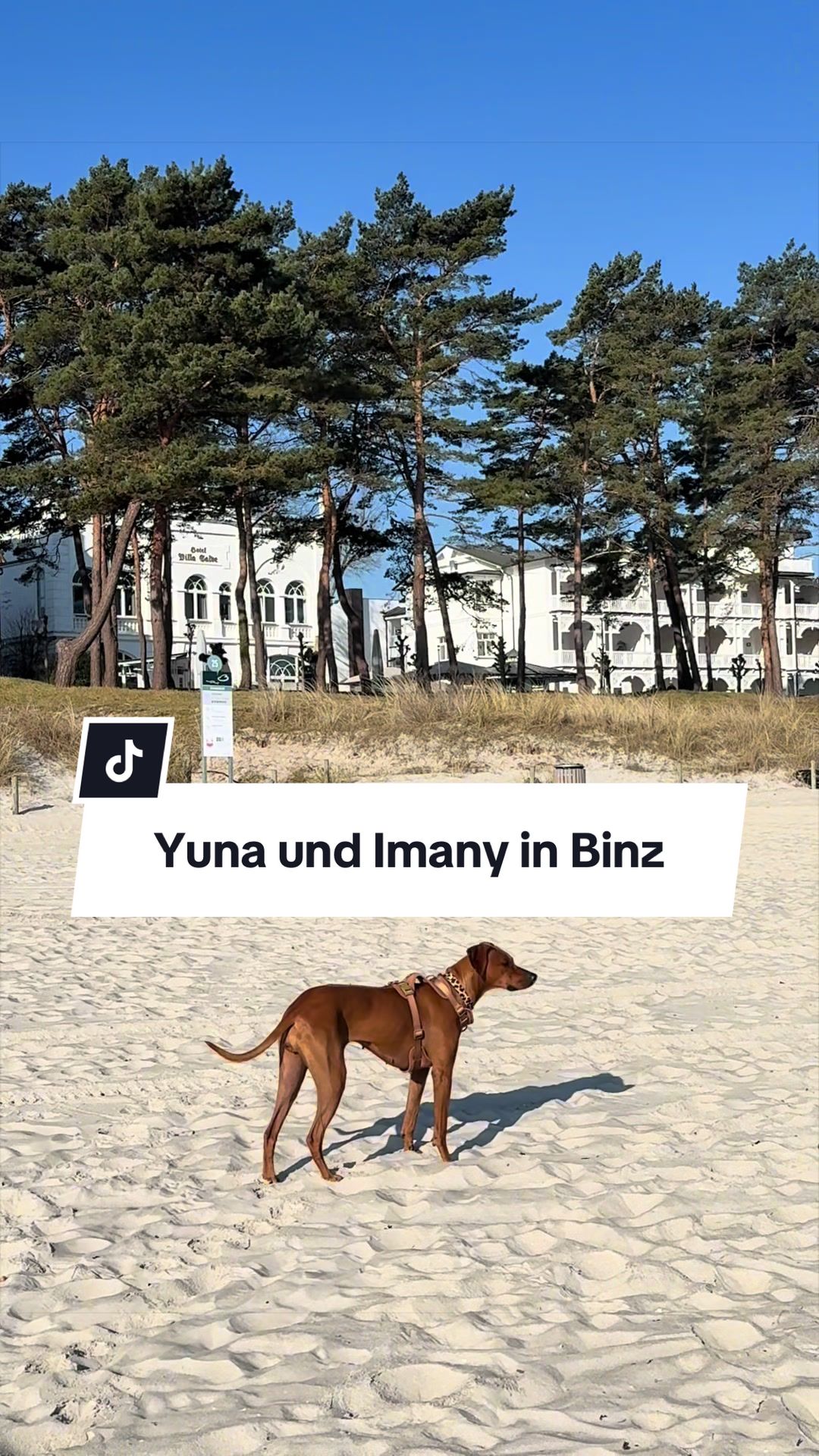@💃🏻📷🐕🐕annettslittlemoments
