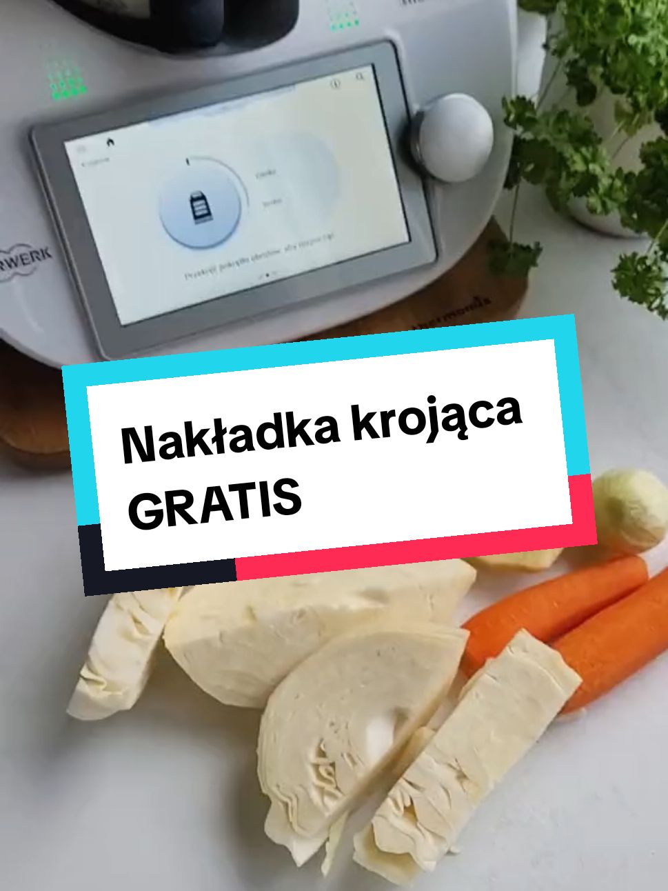 @Swojska Joanna | Lifestyle