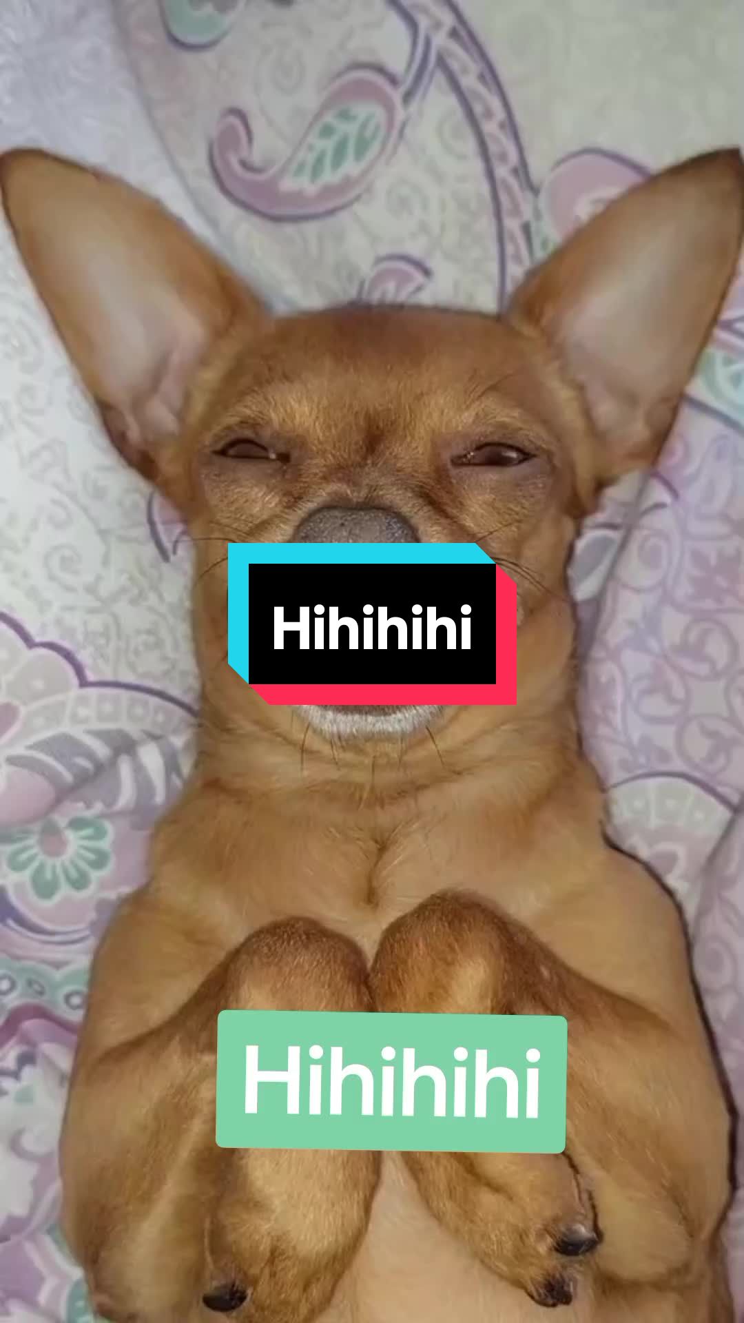 @𝑺𝒕𝒆𝒑𝒉 ✨