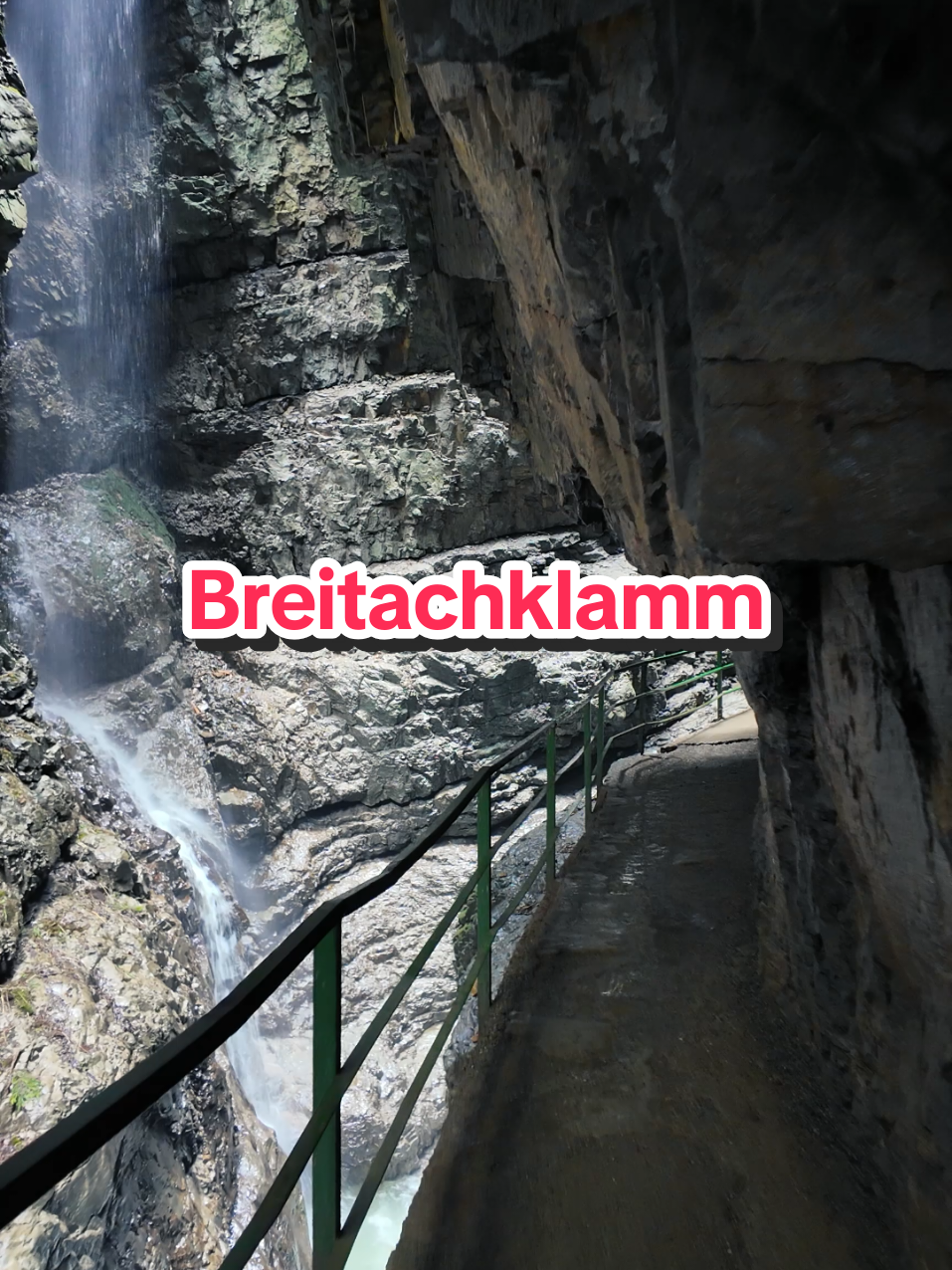 @Am Puls der Natur