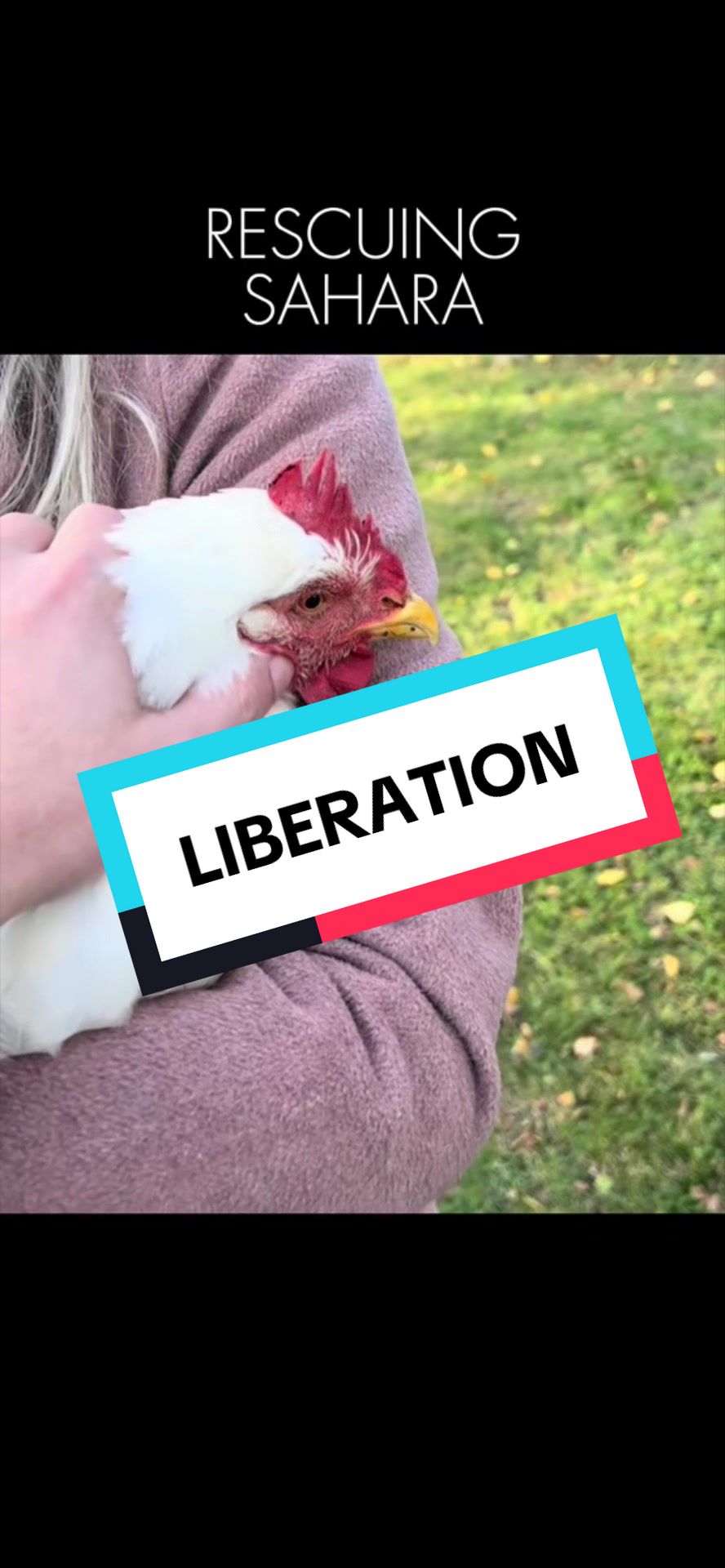 @vegandesign