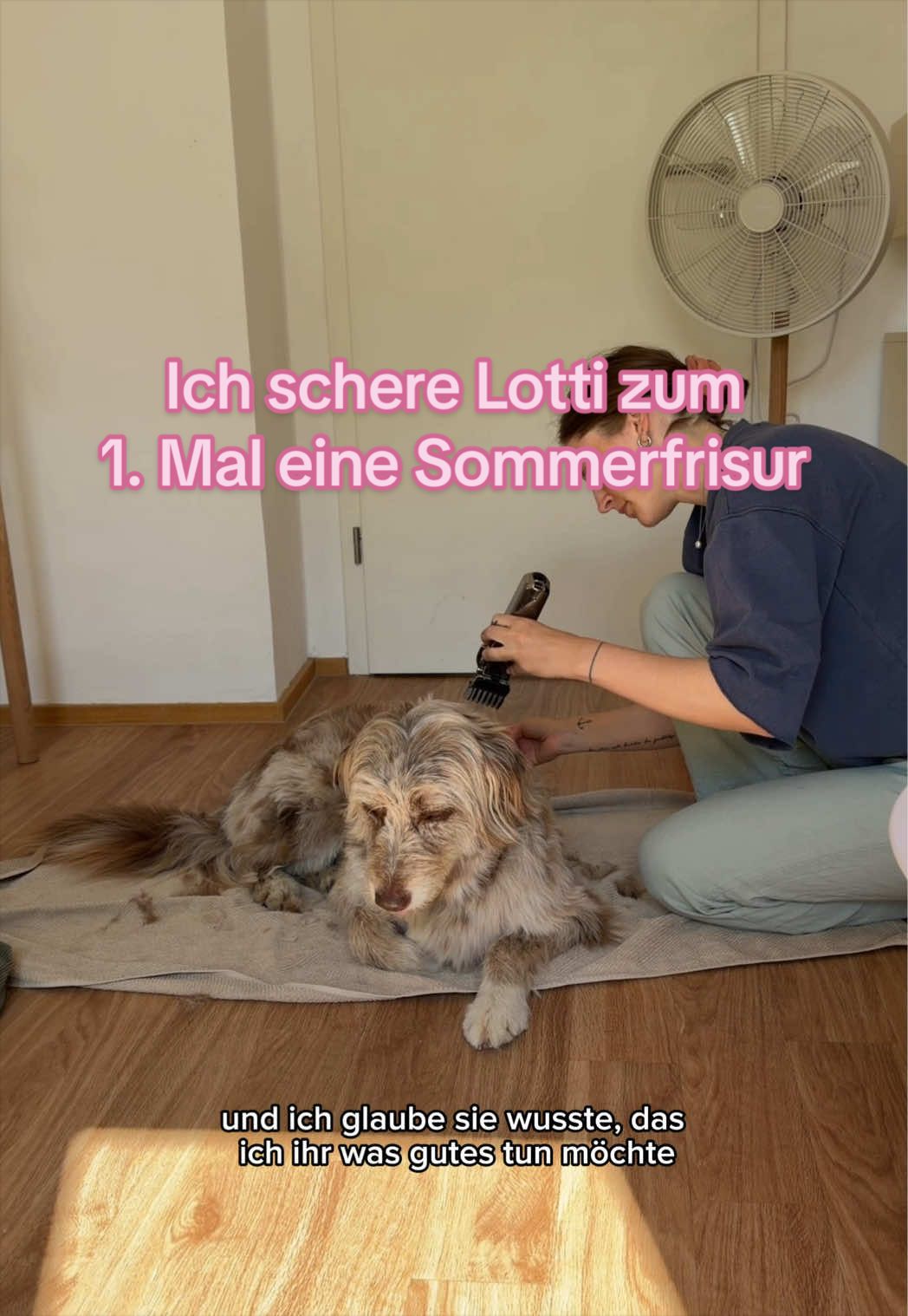 @Laura Herz