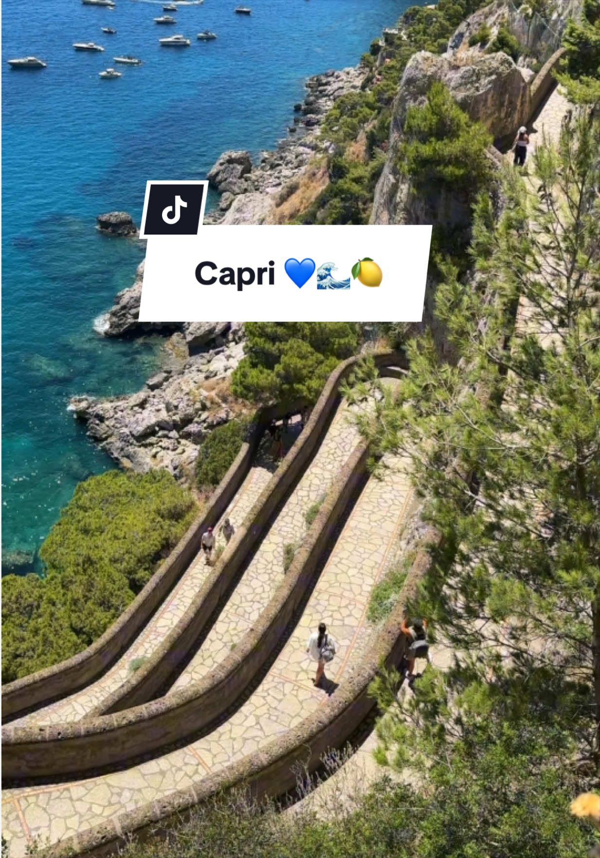 @Carmen Aprile