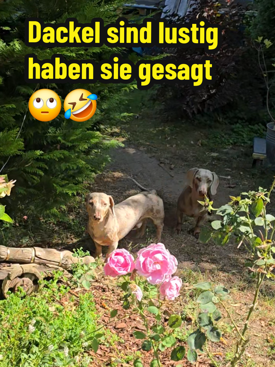 @Farmgirl
