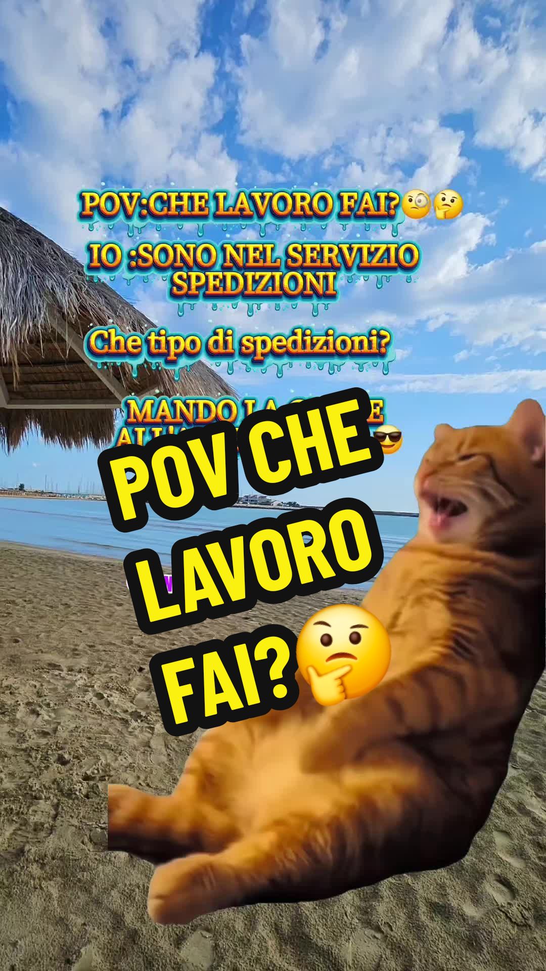 @👑SONO UNA MIA &ldquo;FAN&rdquo;👑