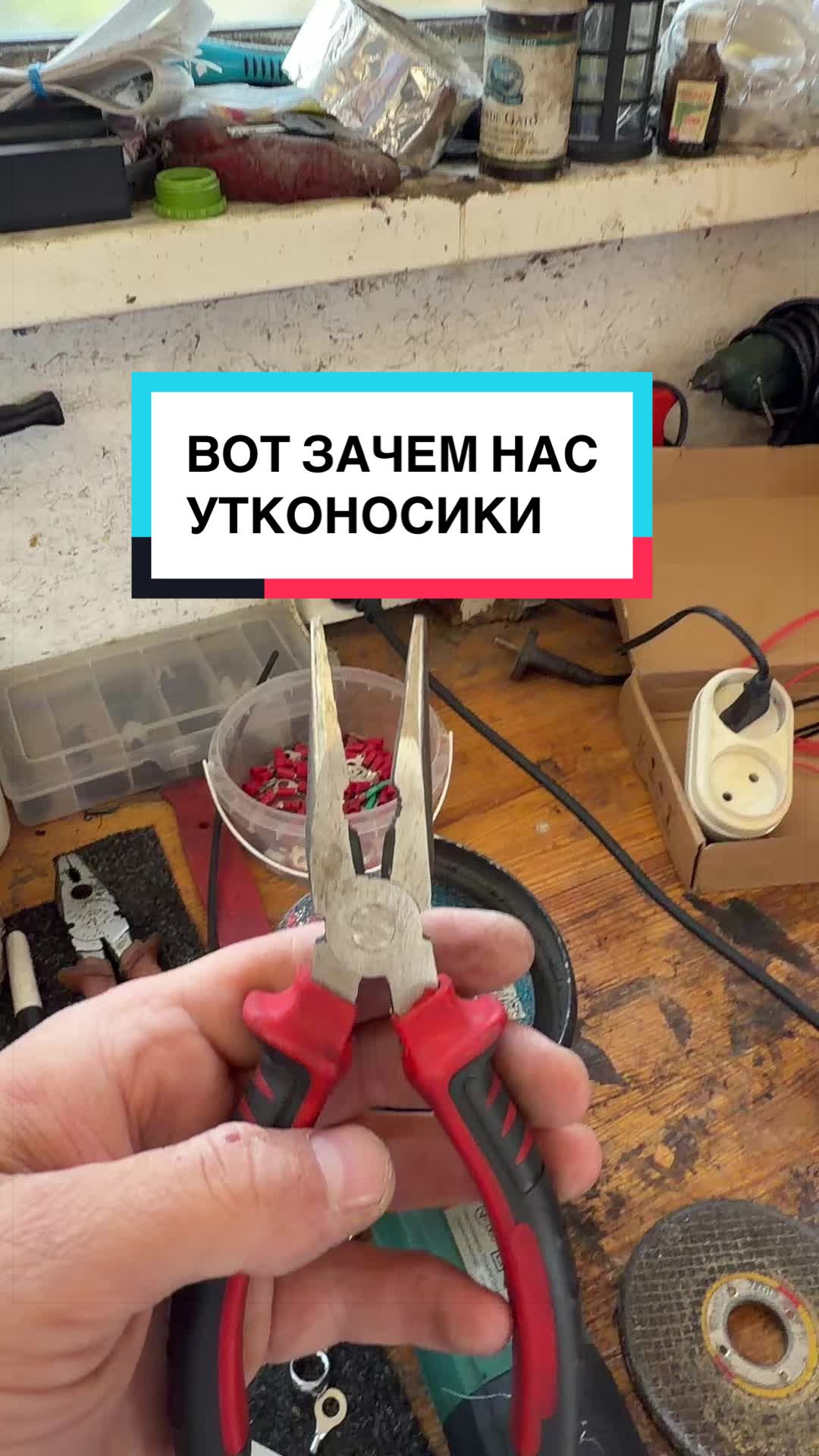 @laifhak_mozgi