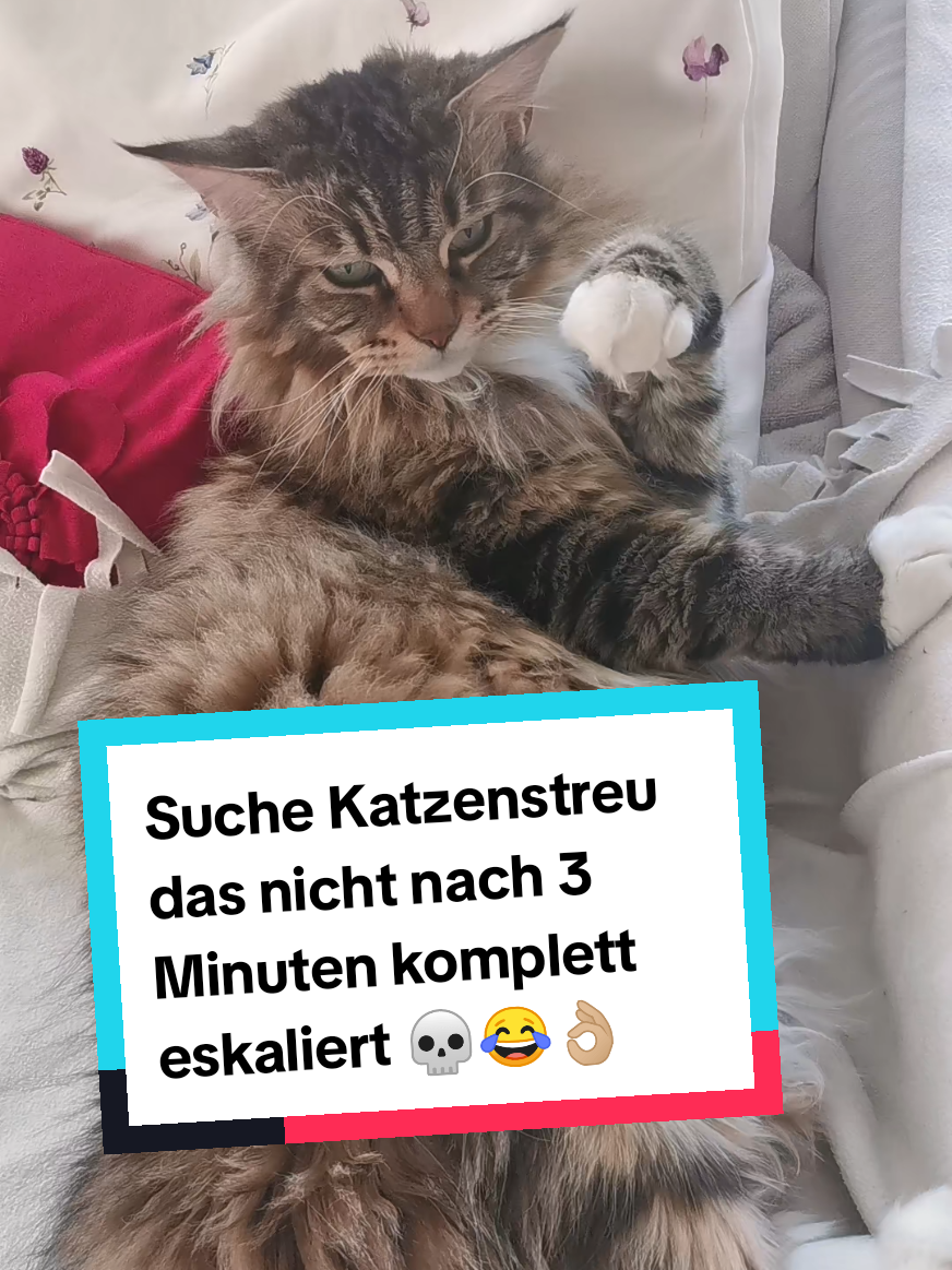 @animalslover