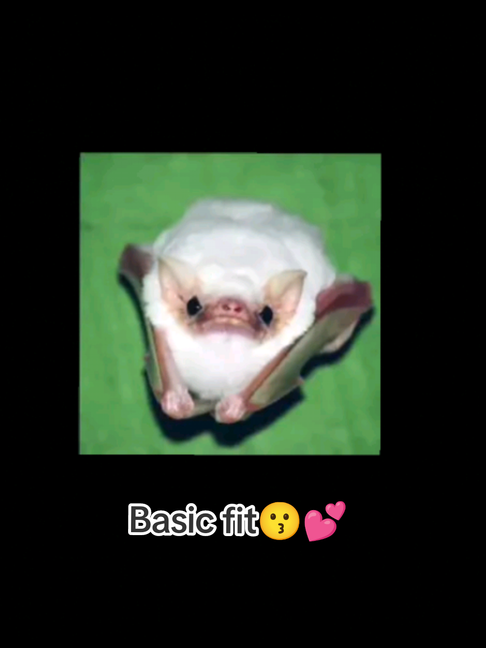 @🦇👻⦻𝐿𝑖𝑙𝑦 𝑙𝑢𝑛𝑑𝑦⦻👻🦇
