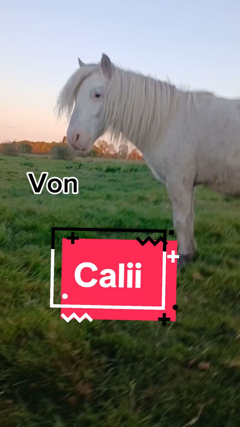 @Alina