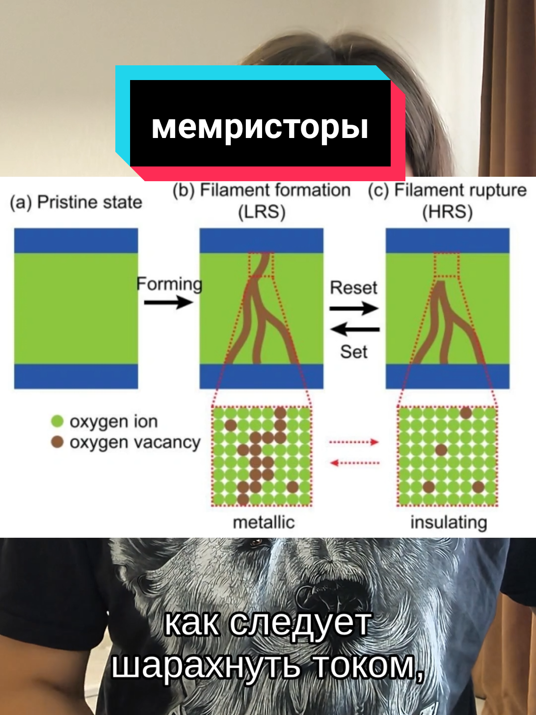 @чопокомпик)
