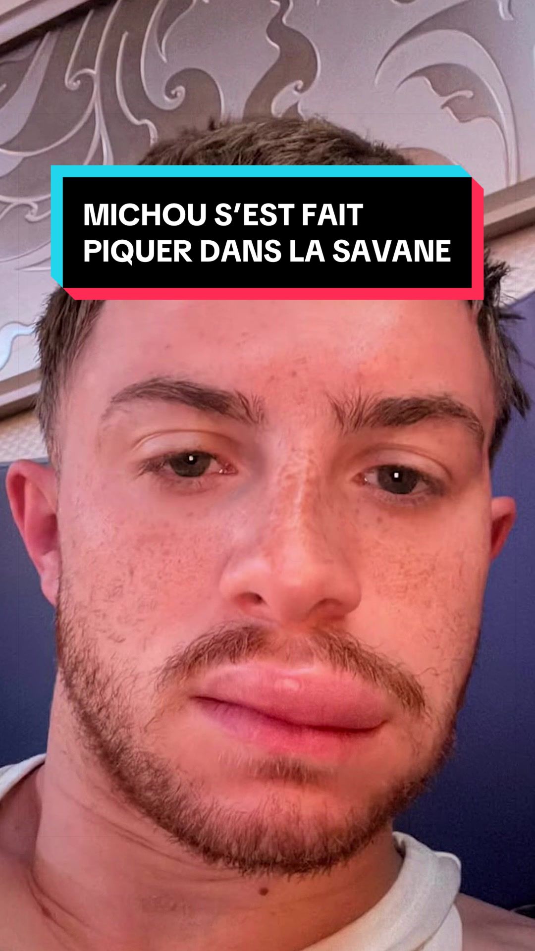 @MichouOff