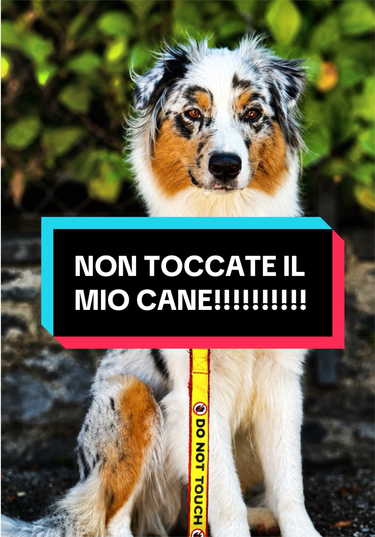 @𝐉𝐀𝐃𝐄 𝐉𝐀𝐘