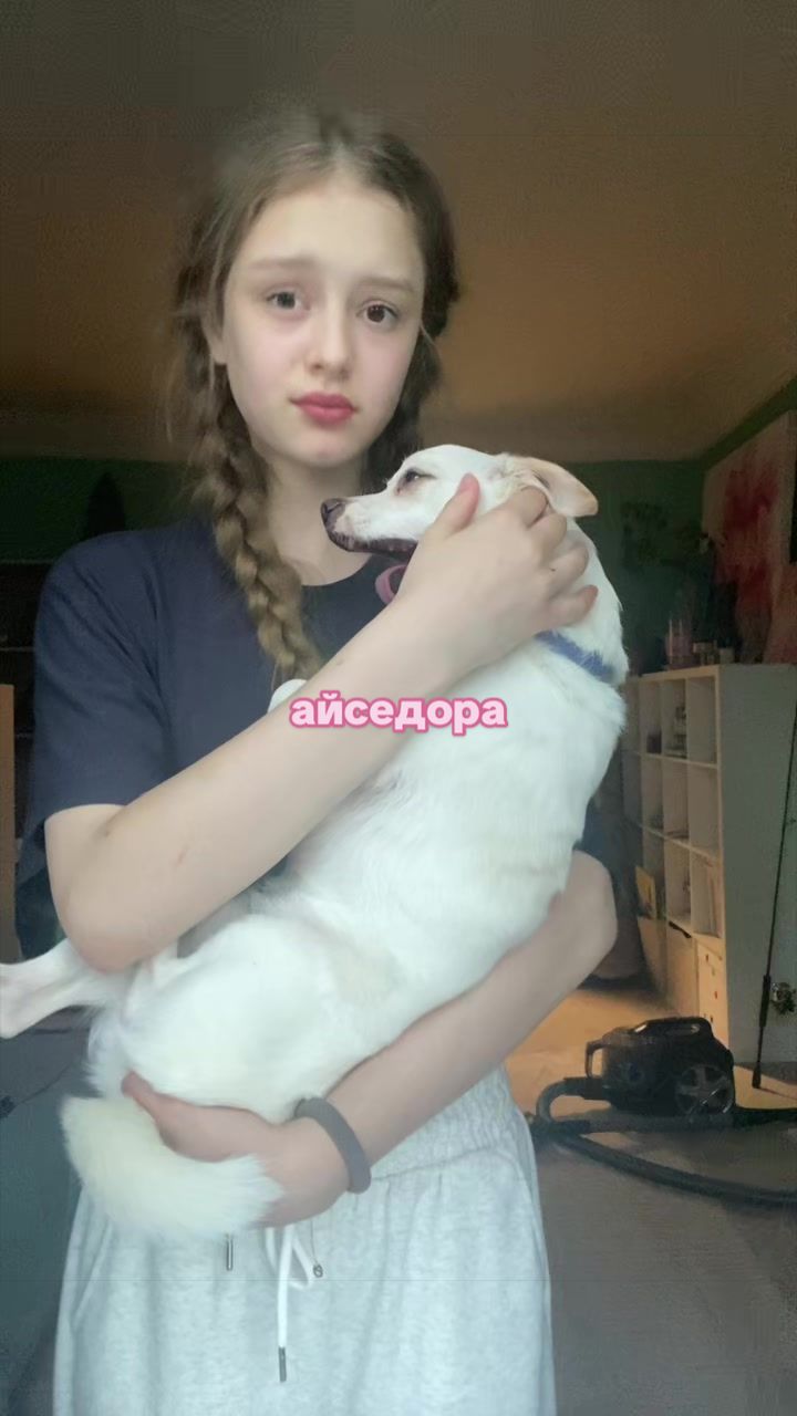 @VETTA