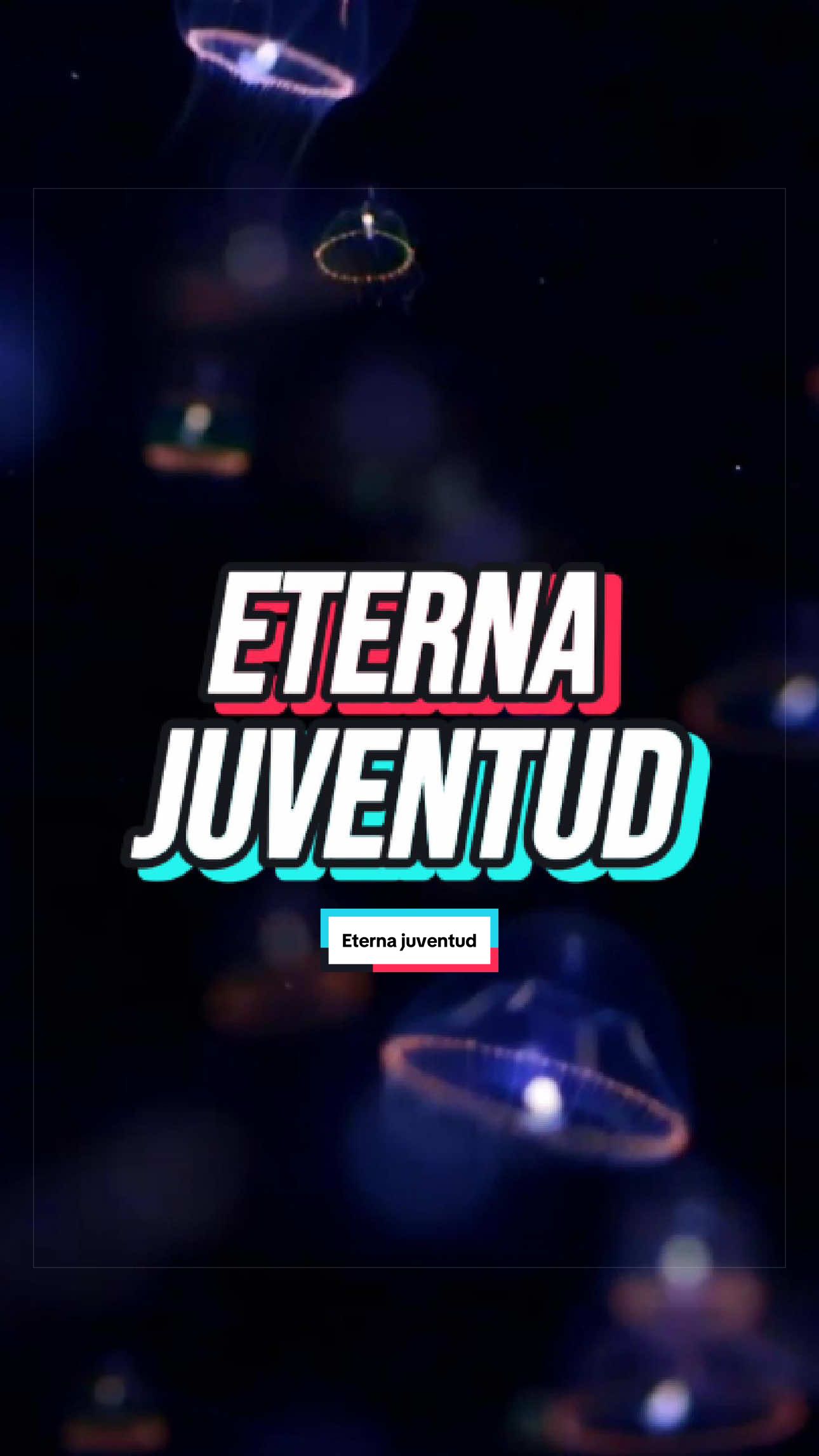 @ArchivoXtra&ntilde;o