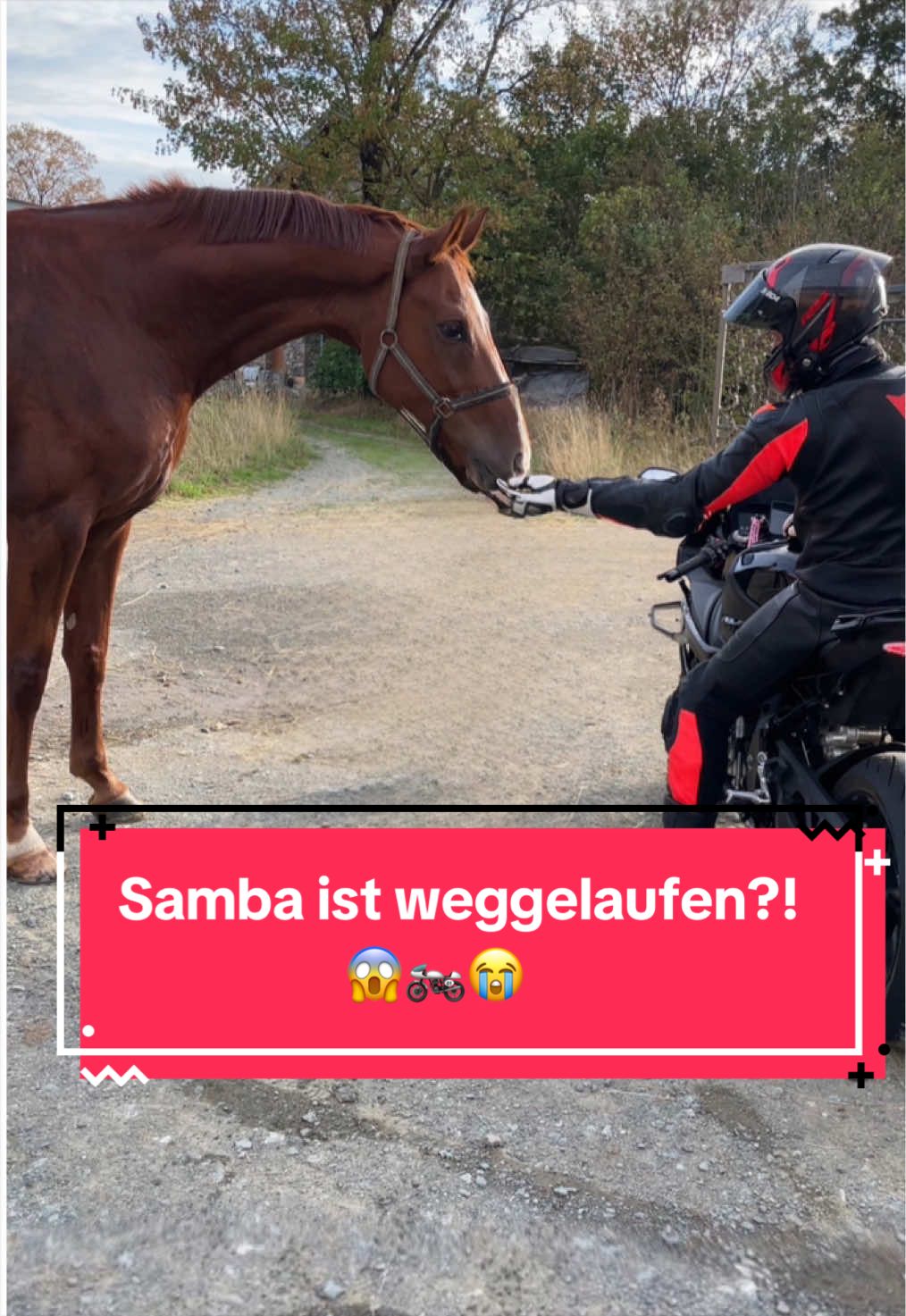 @Elisa & Samba ♡