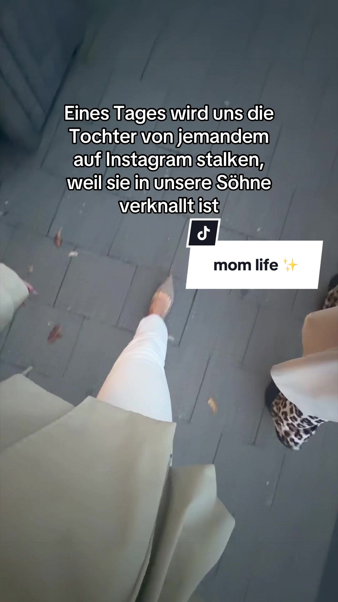 @vanessa lipatov