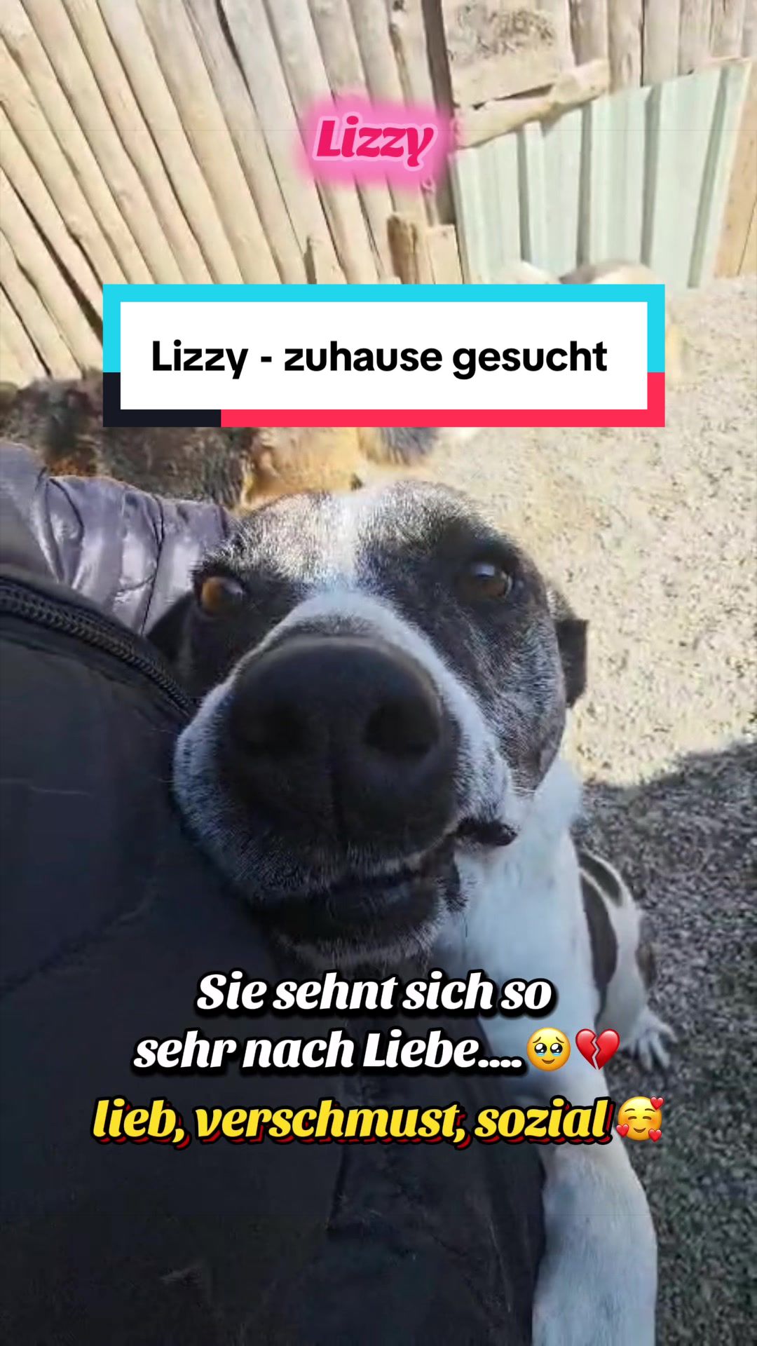 @Peri & Senioren 🐾