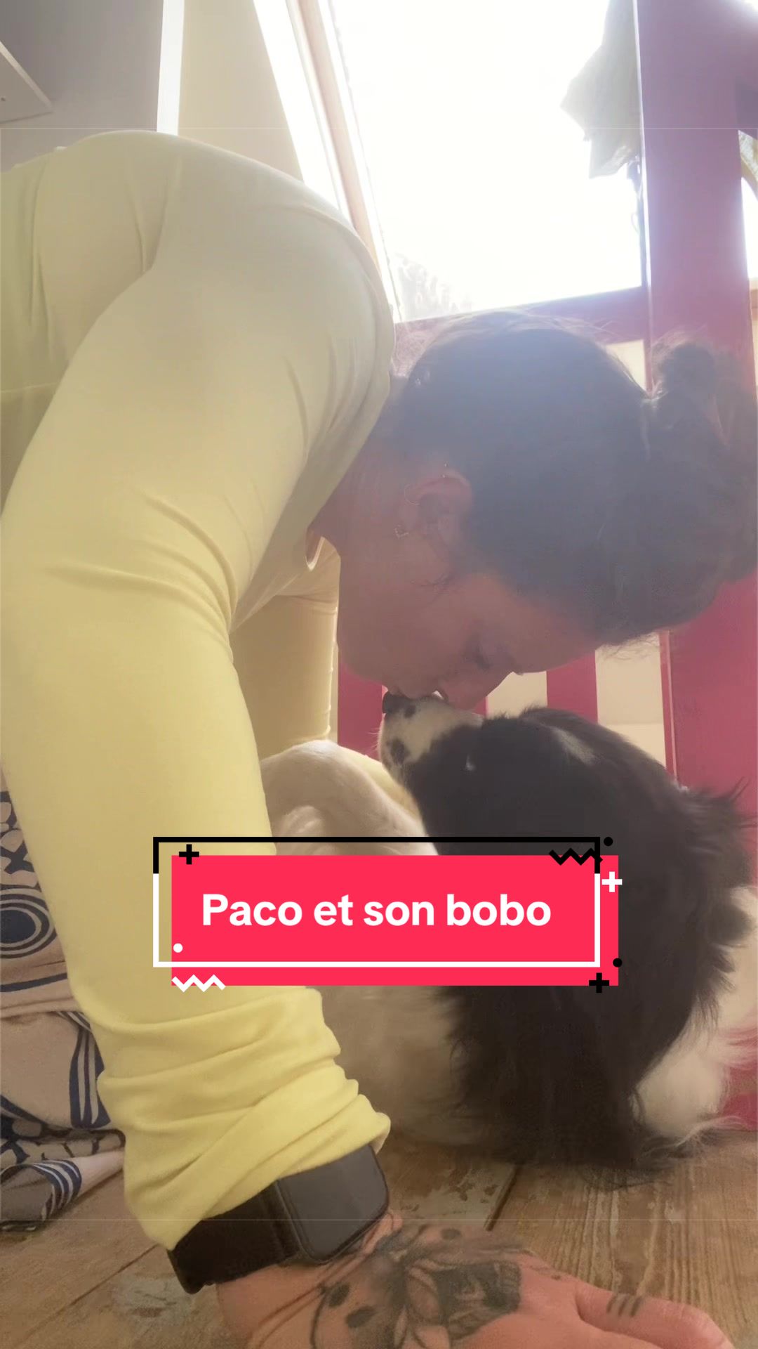 @PacoPacoPaco_le_chien