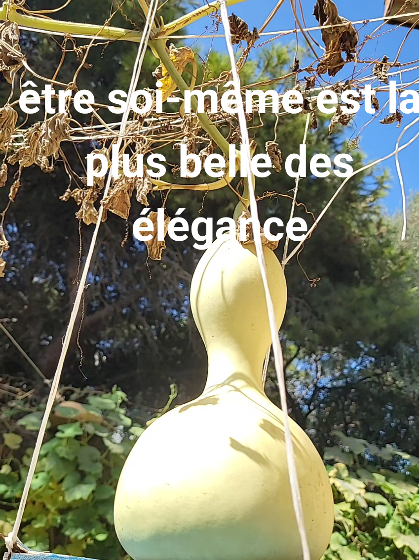 @jiji