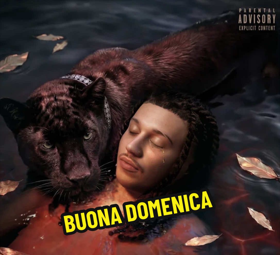@avvocatomura
