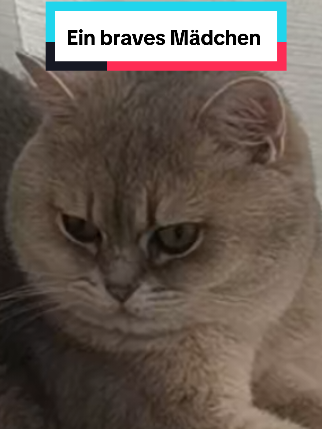 @Nala