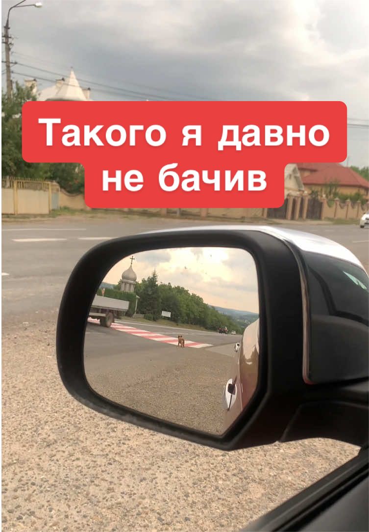 @chetaxidriver