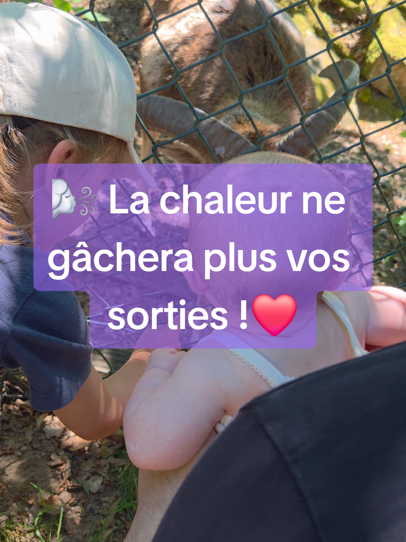 @🌍 Bon Vivant  🇨🇵