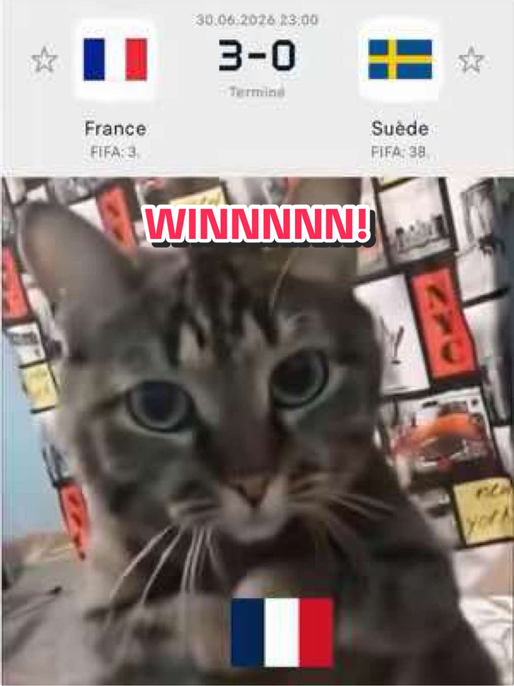 @Equipe de France