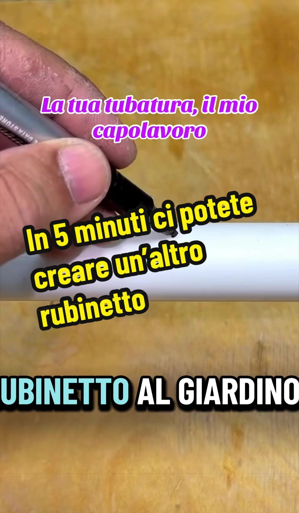 @Alessandro Cuomo ♌️
