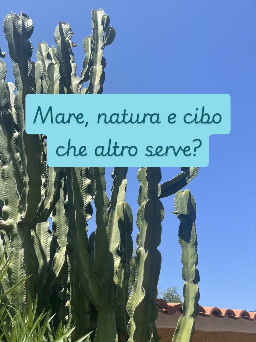 @piccole.spine.felici 🌵
