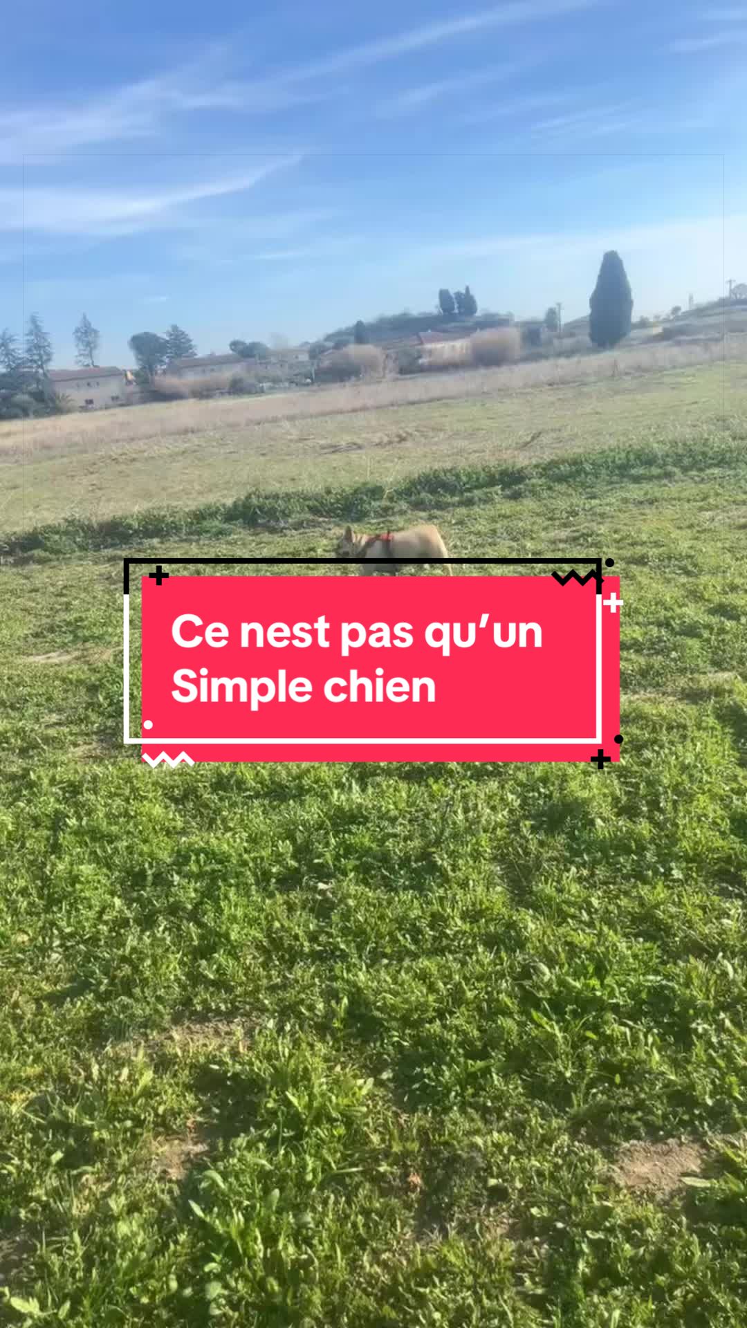 @les aventures de Nina