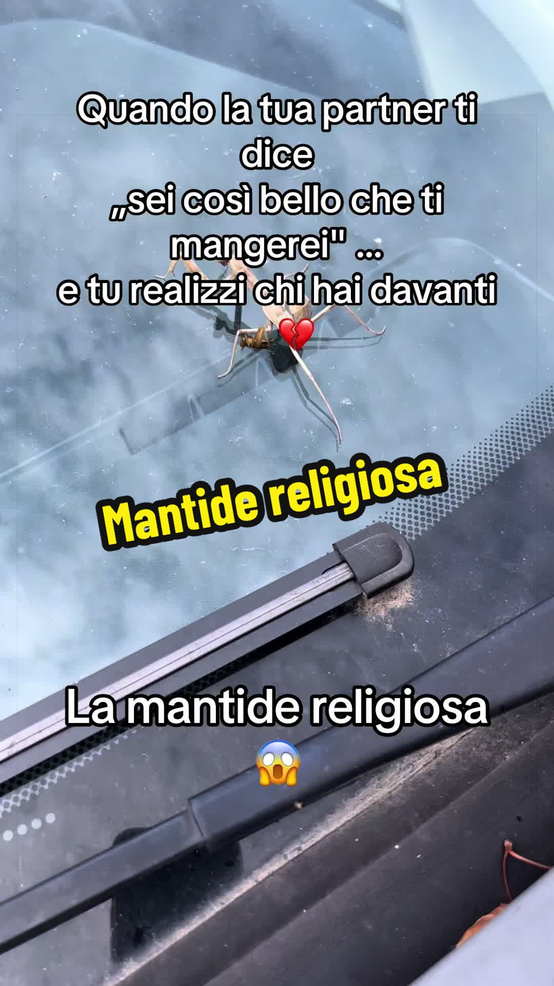 @Natali