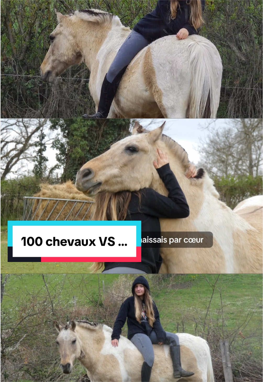 @mon poney pie