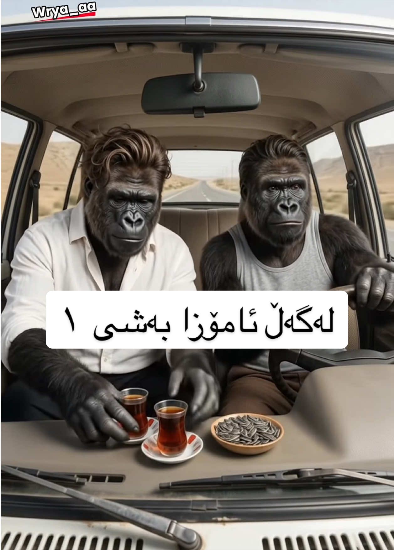 @wrya_aa