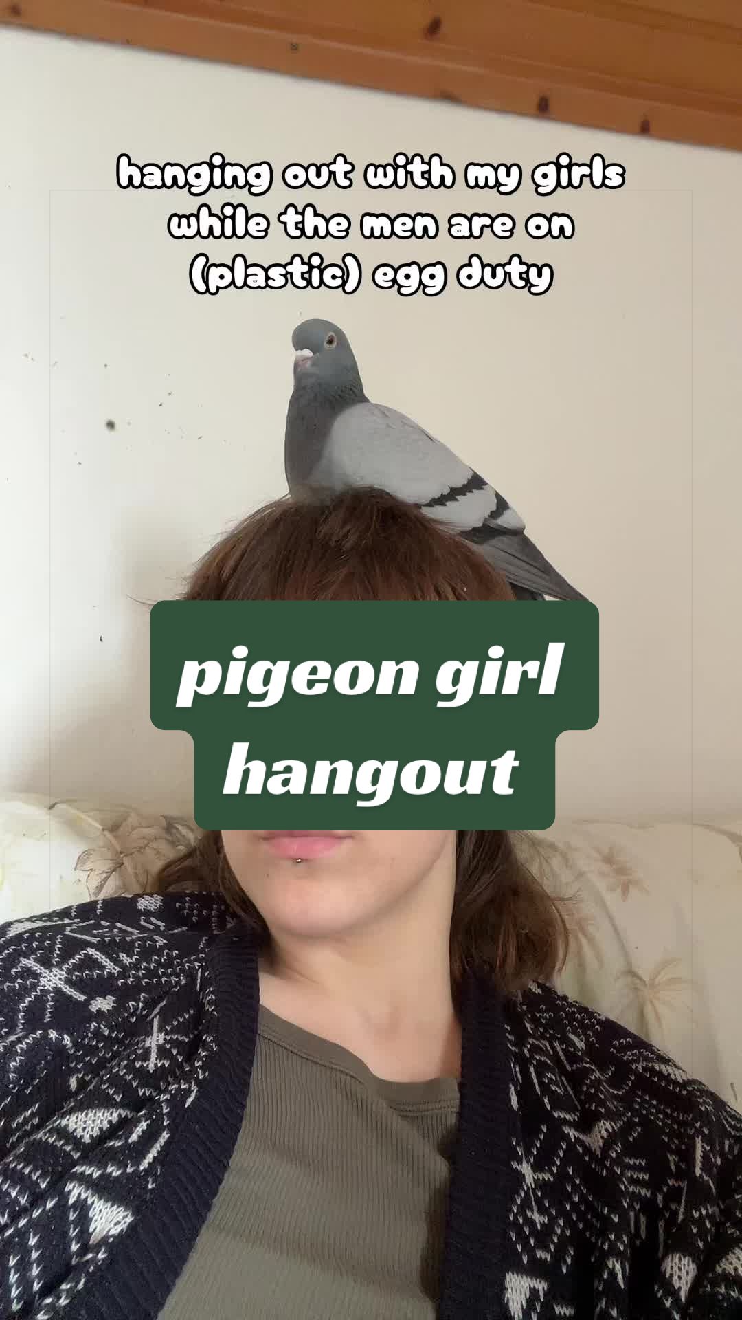 @Lisa‘s Pets