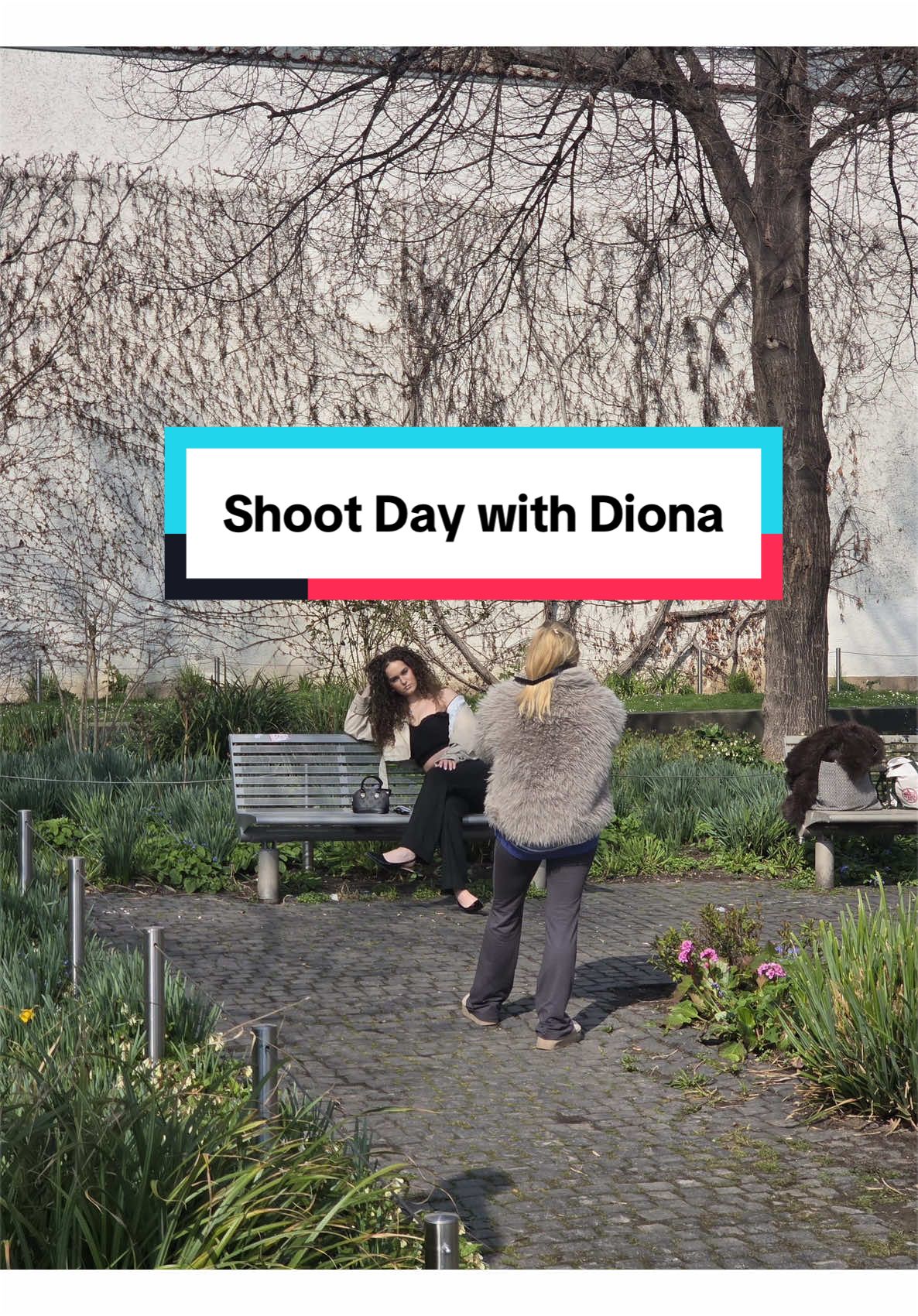 @diona.ger