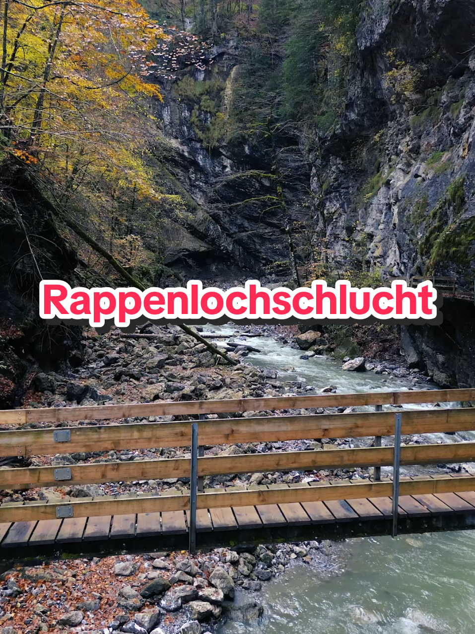 @Am Puls der Natur