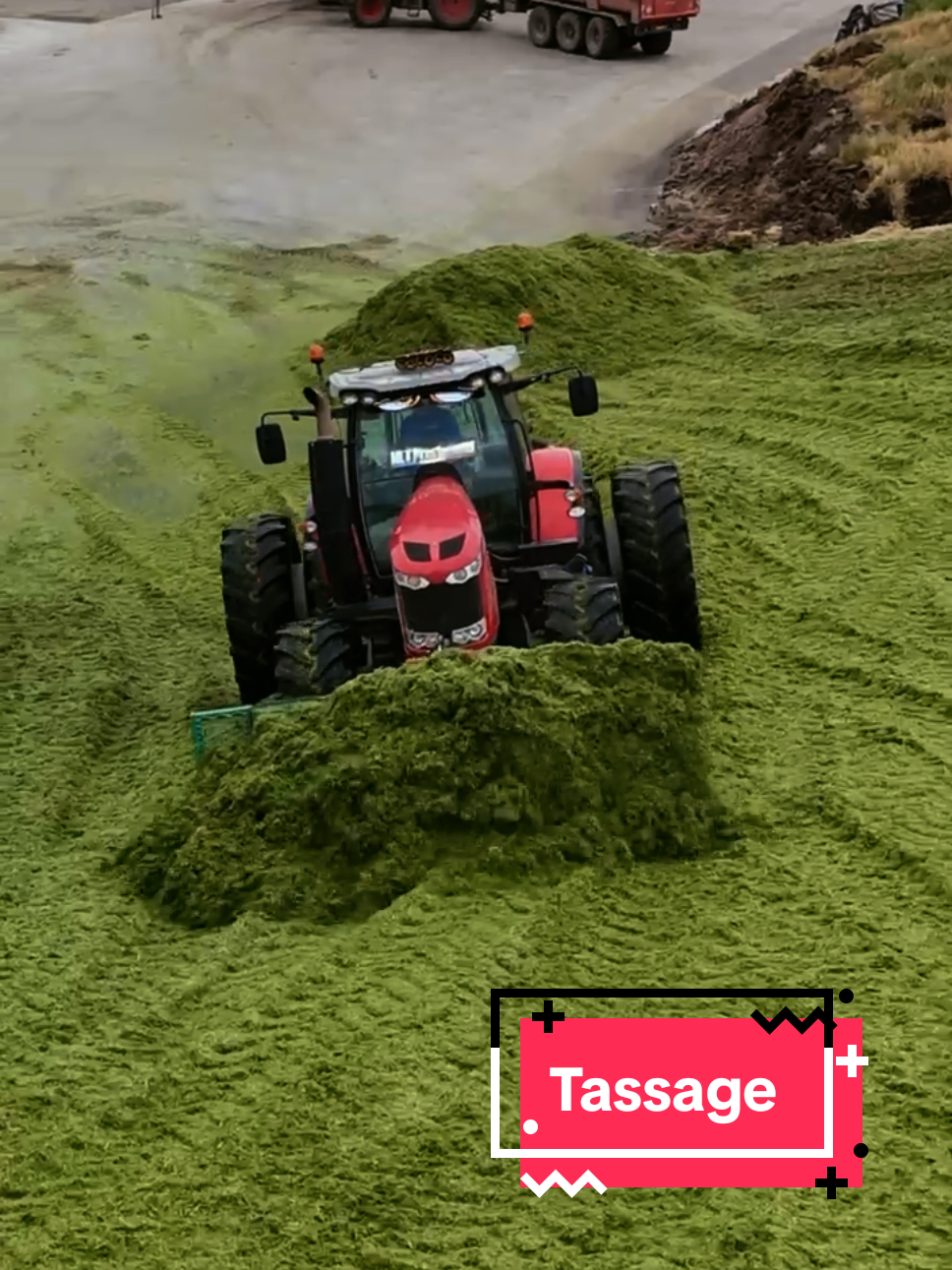 @Marine 🌾🚜